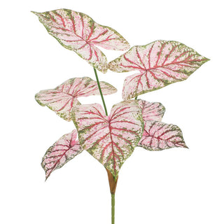 28.5" CALADIUM BUSH PK/GR