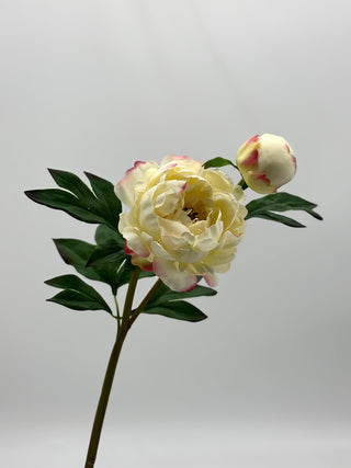 24.5" REAL TOUCH PEONY SPRAY-CREAM